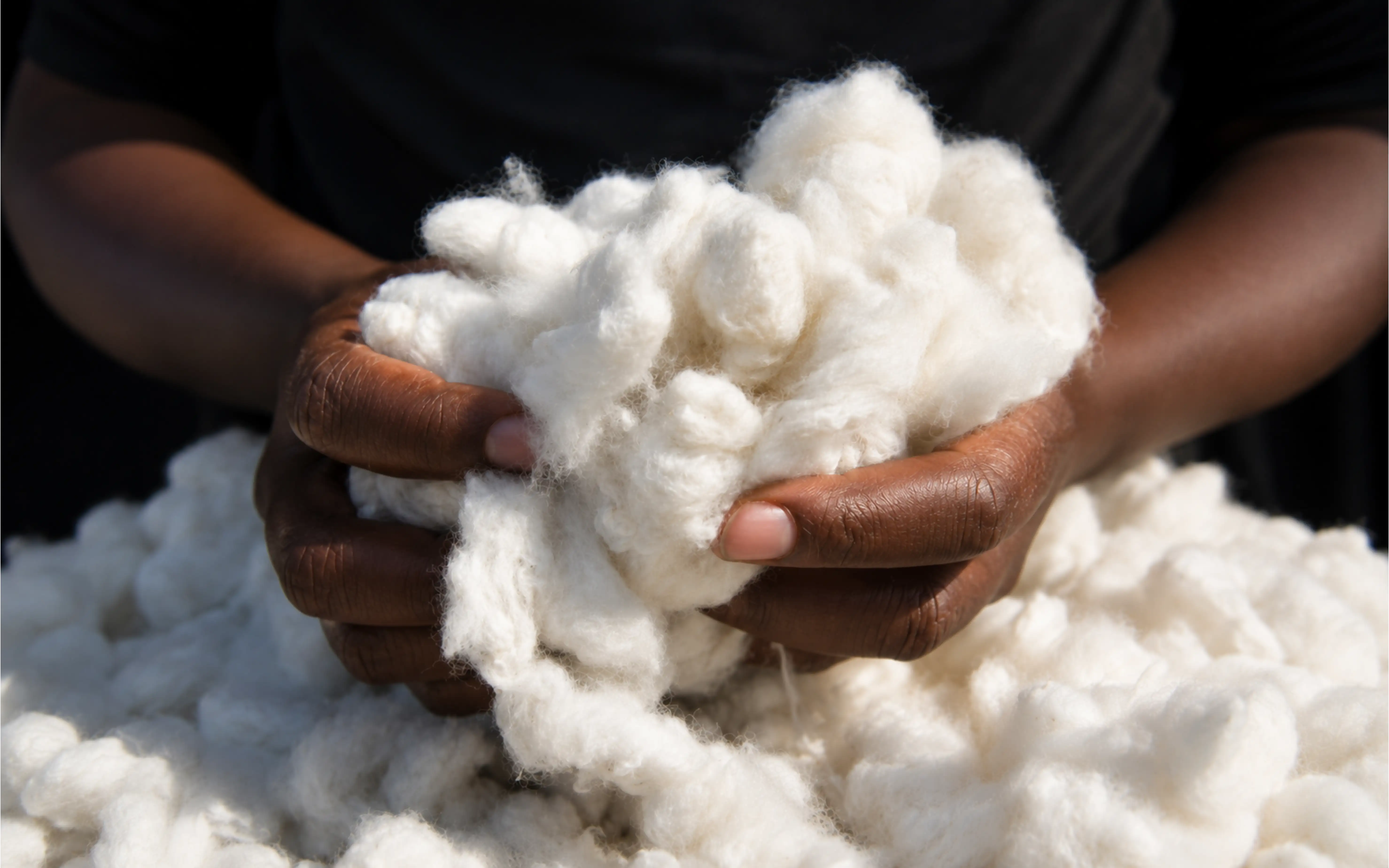Raw Cotton fabric texture, Uganda
