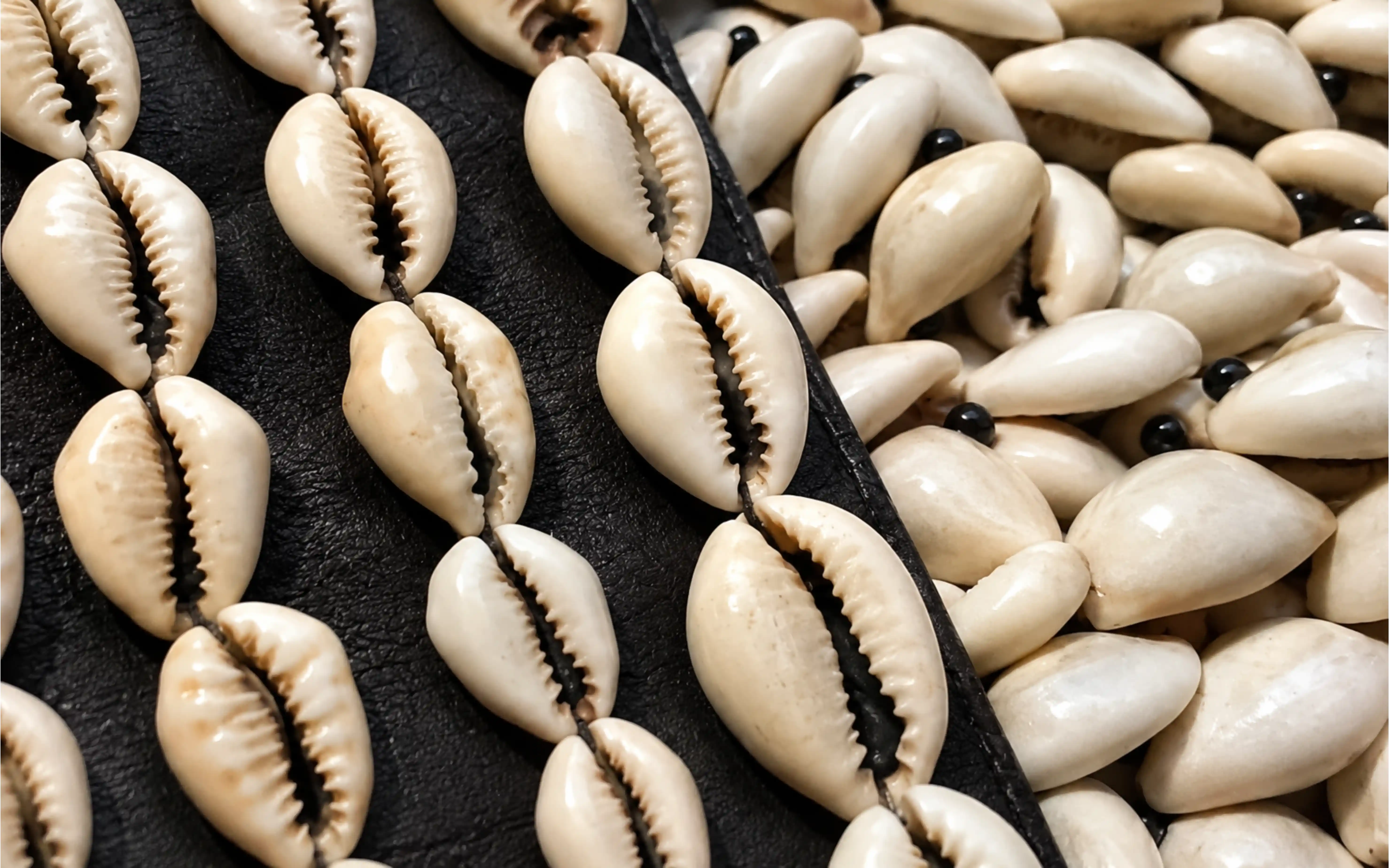 Cowrie & Shells fabric texture, Senegal